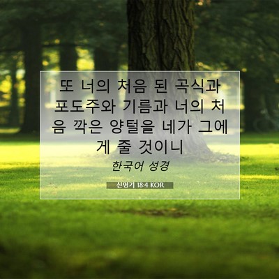 Picture 07 - 신명기 18:4 KOR - 또 너의 처음 된 곡식과 포도주와 - Bible Verse Picture