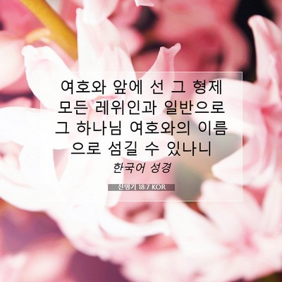 Picture 07 - 신명기 18:7 KOR - 여호와 앞에 선 그 형제 모든 - Bible Verse Picture