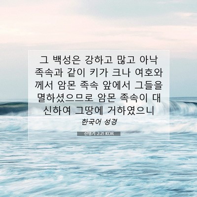 Picture 07 - 신명기 2:21 KOR - 그 백성은 강하고 많고 아낙 족속과 - Bible Verse Picture