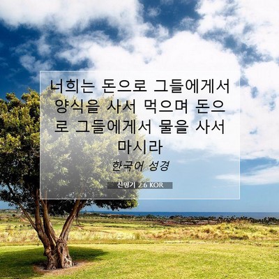 Picture 07 - 신명기 2:6 KOR - 너희는 돈으로 그들에게서 양식을 - Bible Verse Picture
