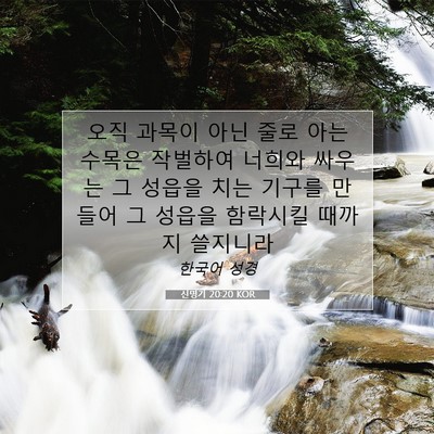 Picture 07 - 신명기 20:20 KOR - 오직 과목이 아닌 줄로 아는 수목은 - Bible Verse Picture