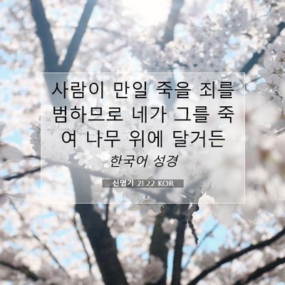 Picture 07 - 신명기 21:22 KOR - 사람이 만일 죽을 죄를 범하므로 - Bible Verse Picture
