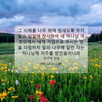 Picture 07 - 신명기 21:23 KOR - 그 시체를 나무 위에 밤새도록 두지 - Bible Verse Picture