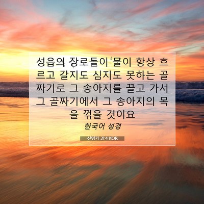 Picture 07 - 신명기 21:4 KOR - 성읍의 장로들이 물이 항상 흐르고 - Bible Verse Picture