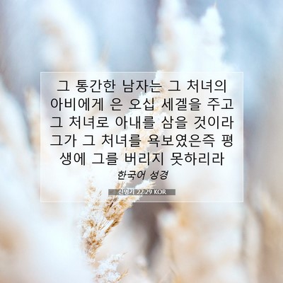 Picture 07 - 신명기 22:29 KOR - 그 통간한 남자는 그 처녀의 - Bible Verse Picture