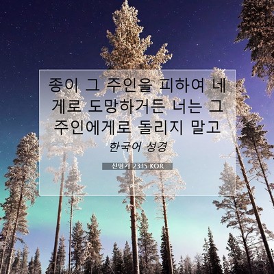 Picture 07 - 신명기 23:15 KOR - 종이 그 주인을 피하여 네게로 - Bible Verse Picture