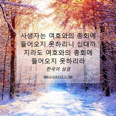 Picture 07 - 신명기 23:2 KOR - 사생자는 여호와의 총회에 들어오지 - Bible Verse Picture