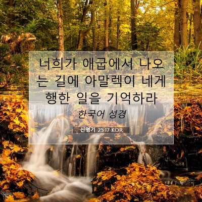 Picture 07 - 신명기 25:17 KOR - 너희가 애굽에서 나오는 길에 - Bible Verse Picture