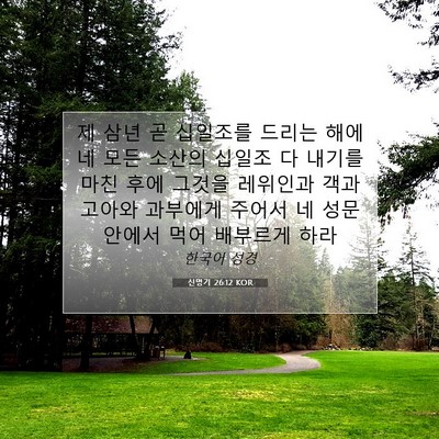 Picture 07 - 신명기 26:12 KOR - 제 삼년 곧 십일조를 드리는 해에 네 - Bible Verse Picture
