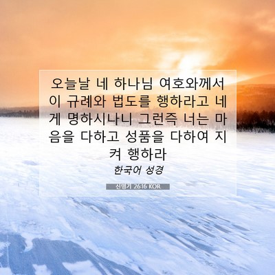 Picture 07 - 신명기 26:16 KOR - 오늘날 네 하나님 여호와께서 이 - Bible Verse Picture