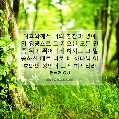 Picture 07 - 신명기 26:19 KOR - 여호와께서 너의 칭찬과 명예와 - Bible Verse Picture