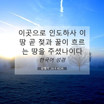 Picture 07 - 신명기 26:9 KOR - 이곳으로 인도하사 이 땅 곧 젖과 - Bible Verse Picture