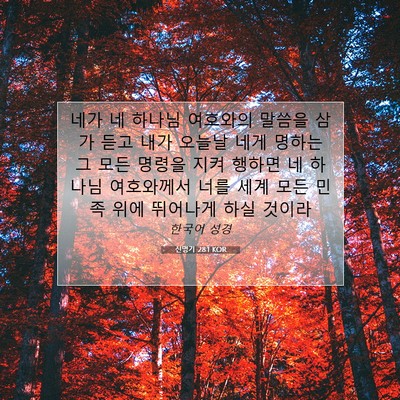 Picture 07 - 신명기 28:1 KOR - 네가 네 하나님 여호와의 말씀을 - Bible Verse Picture