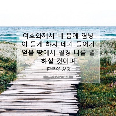Picture 07 - 신명기 28:21 KOR - 여호와께서 네 몸에 염병이 들게 - Bible Verse Picture