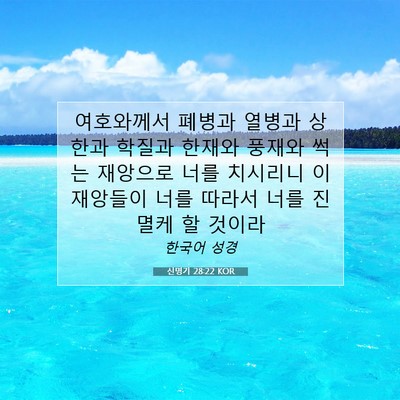 Picture 07 - 신명기 28:22 KOR - 여호와께서 폐병과 열병과 상한과 - Bible Verse Picture