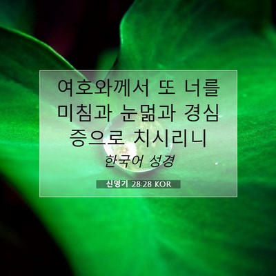 Picture 07 - 신명기 28:28 KOR - 여호와께서 또 너를 미침과 눈멂과 - Bible Verse Picture