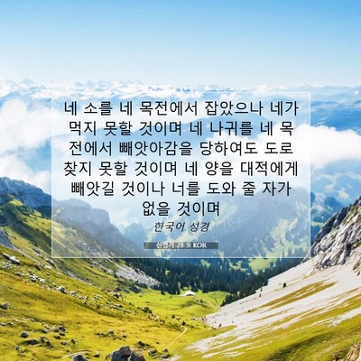 Picture 07 - 신명기 28:31 KOR - 네 소를 네 목전에서 잡았으나 네가 - Bible Verse Picture