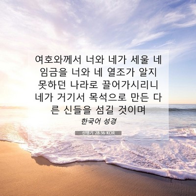 Picture 07 - 신명기 28:36 KOR - 여호와께서 너와 네가 세울 네 - Bible Verse Picture