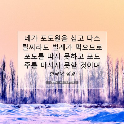 Picture 07 - 신명기 28:39 KOR - 네가 포도원을 심고 다스릴찌라도 - Bible Verse Picture
