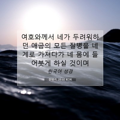 Picture 07 - 신명기 28:60 KOR - 여호와께서 네가 두려워하던 애굽의 - Bible Verse Picture