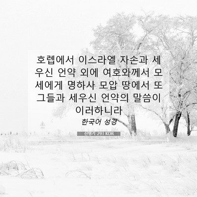 Picture 07 - 신명기 29:1 KOR - 호렙에서 이스라엘 자손과 세우신 - Bible Verse Picture