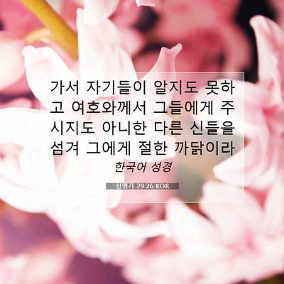 Picture 07 - 신명기 29:26 KOR - 가서 자기들이 알지도 못하고 - Bible Verse Picture