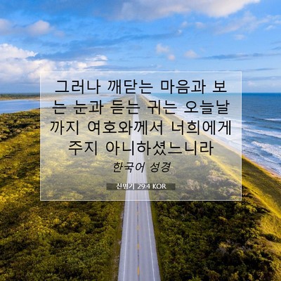 Picture 07 - 신명기 29:4 KOR - 그러나 깨닫는 마음과 보는 눈과 - Bible Verse Picture