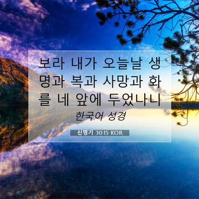 Picture 07 - 신명기 30:15 KOR - 보라 내가 오늘날 생명과 복과 - Bible Verse Picture