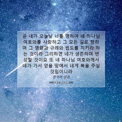 Picture 07 - 신명기 30:16 KOR - 곧 내가 오늘날 너를 명하여 네 - Bible Verse Picture