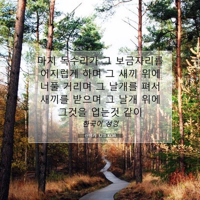 Picture 07 - 신명기 32:11 KOR - 마치 독수리가 그 보금자리를 - Bible Verse Picture