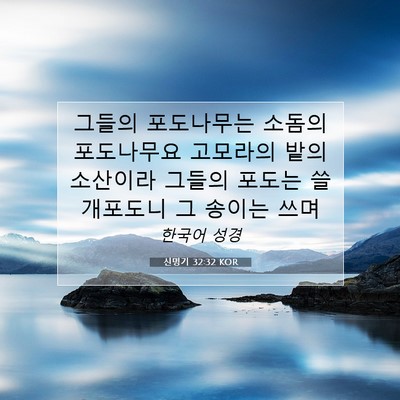 Picture 07 - 신명기 32:32 KOR - 그들의 포도나무는 소돔의 - Bible Verse Picture