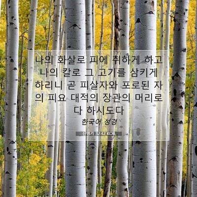Picture 07 - 신명기 32:42 KOR - 나의 화살로 피에 취하게 하고 나의 - Bible Verse Picture