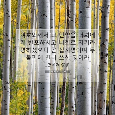 Picture 07 - 신명기 4:13 KOR - 여호와께서 그 언약을 너희에게 - Bible Verse Picture