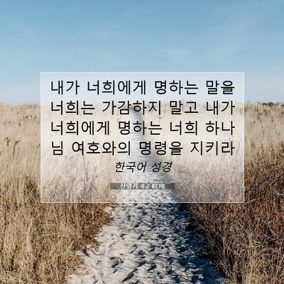 Picture 07 - 신명기 4:2 KOR - 내가 너희에게 명하는 말을 너희는 - Bible Verse Picture