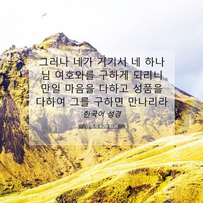 Picture 07 - 신명기 4:29 KOR - 그러나 네가 거기서 네 하나님 - Bible Verse Picture