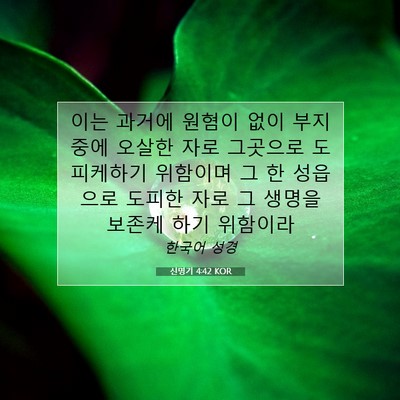 Picture 07 - 신명기 4:42 KOR - 이는 과거에 원혐이 없이 부지중에 - Bible Verse Picture