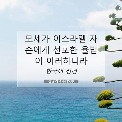 Picture 07 - 신명기 4:44 KOR - 모세가 이스라엘 자손에게 선포한 - Bible Verse Picture
