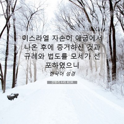 Picture 07 - 신명기 4:45 KOR - 이스라엘 자손이 애굽에서 나온 후에 - Bible Verse Picture