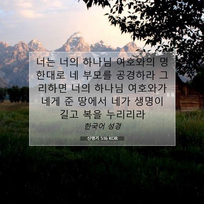 Picture 07 - 신명기 5:16 KOR - 너는 너의 하나님 여호와의 명한대로 - Bible Verse Picture