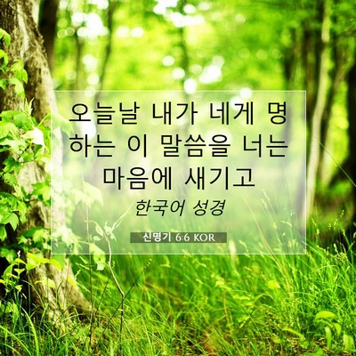 Picture 07 - 신명기 6:6 KOR - 오늘날 내가 네게 명하는 이 말씀을 - Bible Verse Picture
