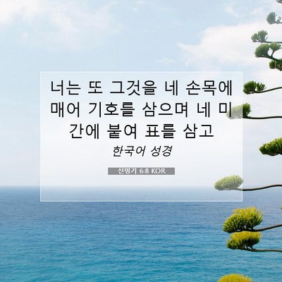 Picture 07 - 신명기 6:8 KOR - 너는 또 그것을 네 손목에 매어 - Bible Verse Picture