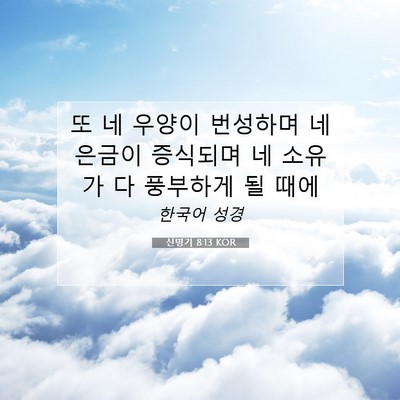 Picture 07 - 신명기 8:13 KOR - 또 네 우양이 번성하며 네 은금이 - Bible Verse Picture