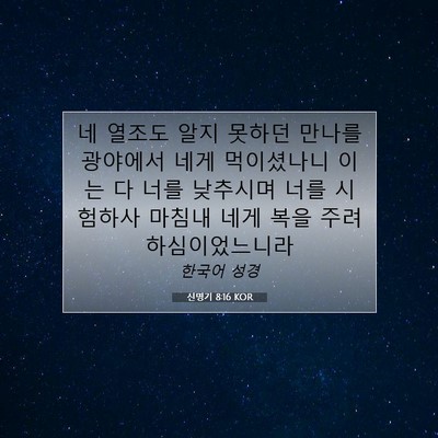 Picture 07 - 신명기 8:16 KOR - 네 열조도 알지 못하던 만나를 - Bible Verse Picture