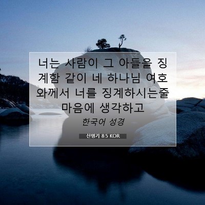 Picture 07 - 신명기 8:5 KOR - 너는 사람이 그 아들을 징계함 같이 - Bible Verse Picture