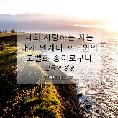 Picture 07 - 아가 1:14 KOR - 나의 사랑하는 자는 내게 엔게디 - Bible Verse Picture