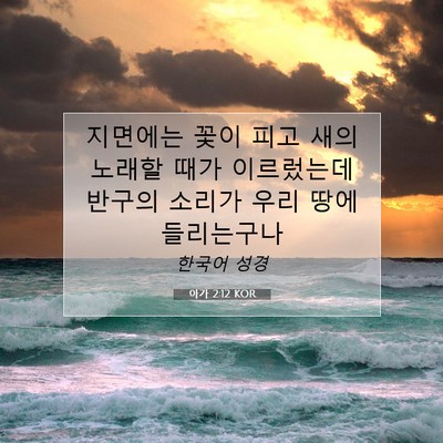Picture 07 - 아가 2:12 KOR - 지면에는 꽃이 피고 새의 노래할 - Bible Verse Picture