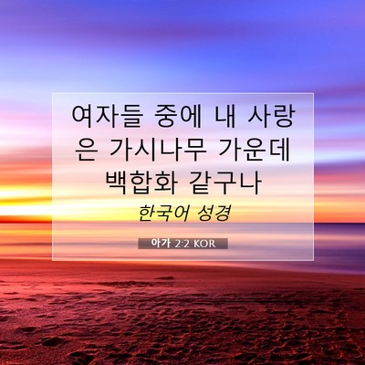 Picture 07 - 아가 2:2 KOR - 여자들 중에 내 사랑은 가시나무 - Bible Verse Picture