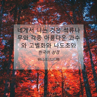 Picture 07 - 아가 4:13 KOR - 네게서 나는 것은 석류나무와 각종 - Bible Verse Picture