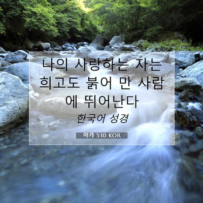 Picture 07 - 아가 5:10 KOR - 나의 사랑하는 자는 희고도 붉어 만 - Bible Verse Picture