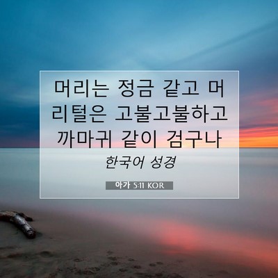 Picture 07 - 아가 5:11 KOR - 머리는 정금 같고 머리털은 - Bible Verse Picture